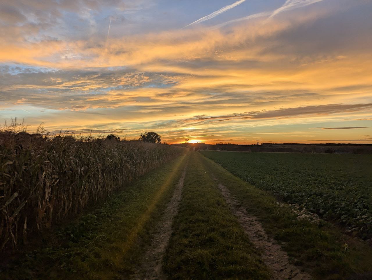 Paysage agricole de Levainville