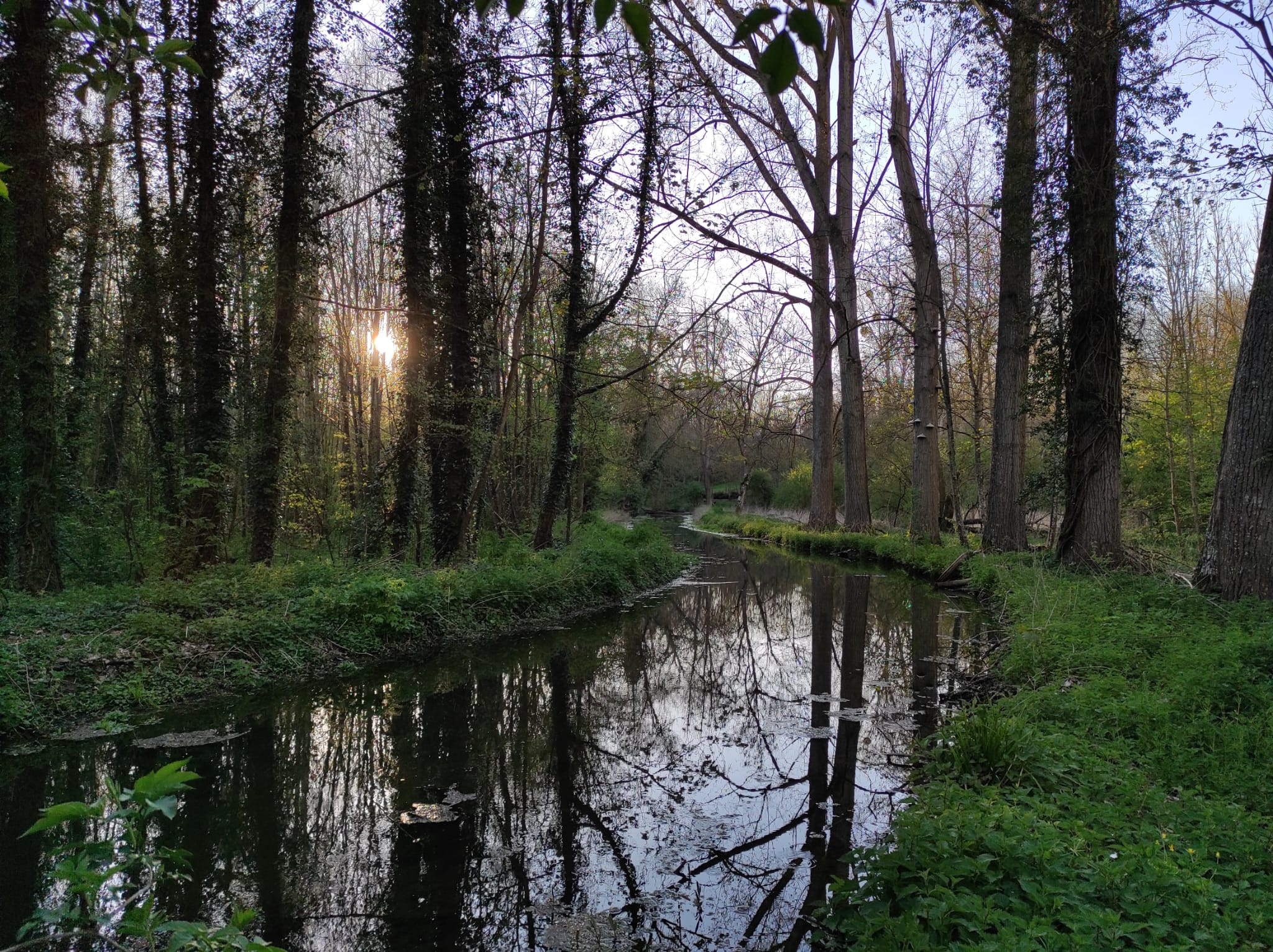 Au fil de la Voise à Levainville, rivière du département d’Eure-et-Loir